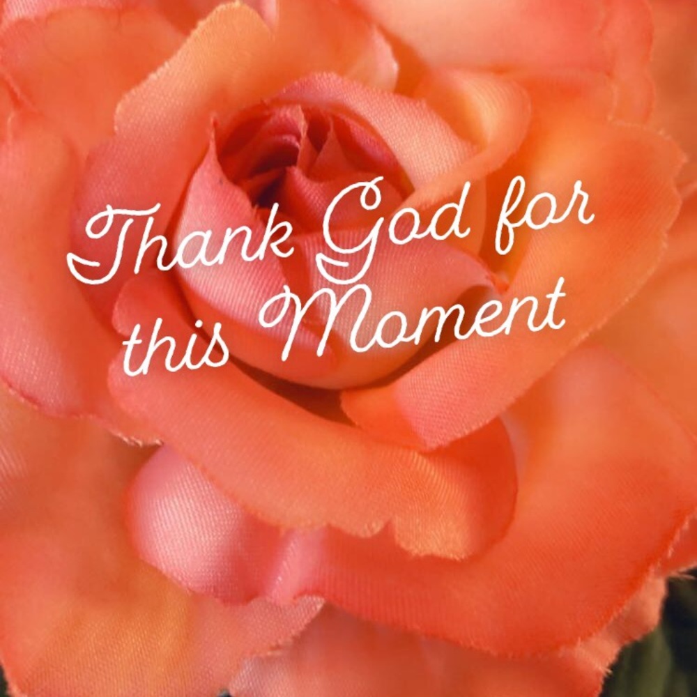 Thank you for visiting my closet!